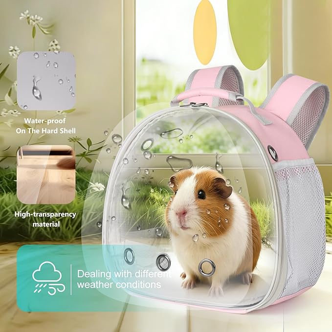 Guinea Pig Carrier, Bunny Rat Bird - Image 4
