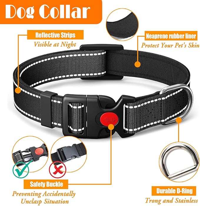 LOBEVE No Pull Dog Harness, Collar & Leash Set | Includes Dog Seat Belt - Image 6