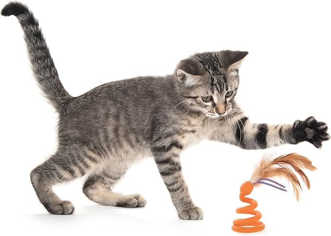 Petlinks Batty Boing Soft Spring & Feather Cat Toy - Image 5