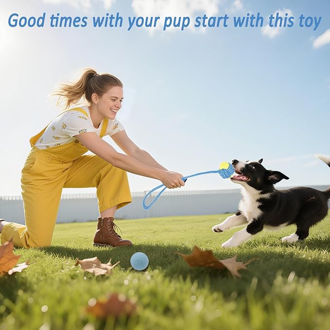 Beiker 20 Pack Puppy Chew Toys - Image 5