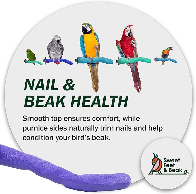 Sweet Feet & Beak Safety Pumice Bird Perch, X-Small 1/2" X 6", Lightweight - Image 8