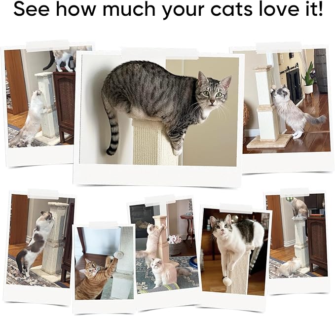 32 Inch Cat Scratching Post for Large Cats, Cat Scratcher for Indoor Cats Adults - Image 6