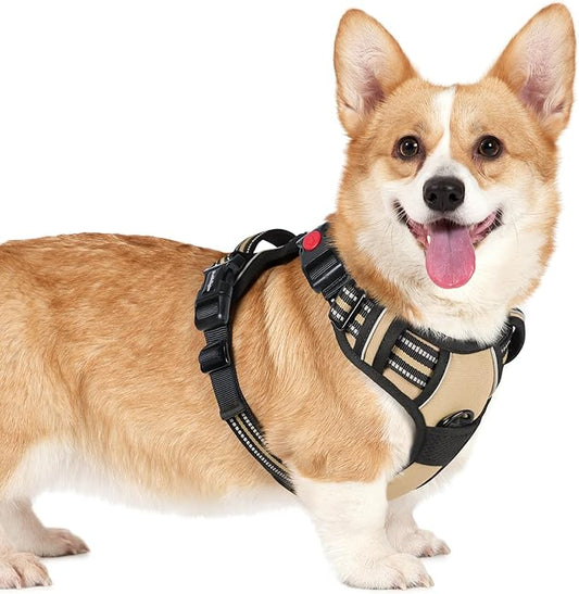 rabbitgoo Dog Harness Small Sized, No Pull Easy On & Off by rabbitgoo