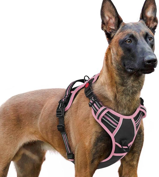 rabbitgoo Dog Harness for Large, No Pull Easy On & Off by rabbitgoo