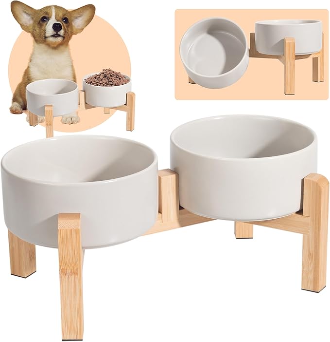 PTOBER Elevated Ceramic Dog Bowl Set by PTOBER