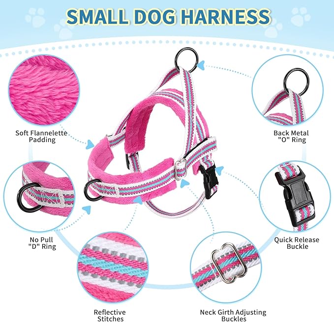 Lukovee No Pull Dog Harness and Leash Set, Soft Padded Small Dog Harness - Image 2