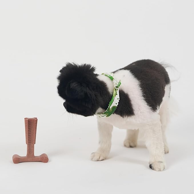 SPOT Bam-Bones Plus T Bone – Bamboo Fiber & Nylon Dog Chew Toy - Image 12