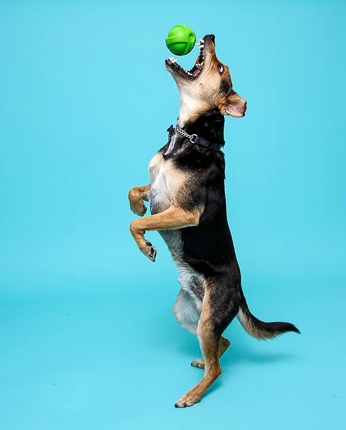 Hartz DuraPlay Bacon Scented Dog Toys - Image 5