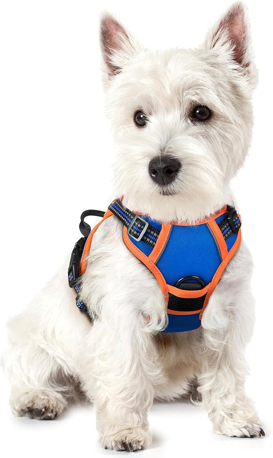 rabbitgoo Dog Harness No Pull by rabbitgoo