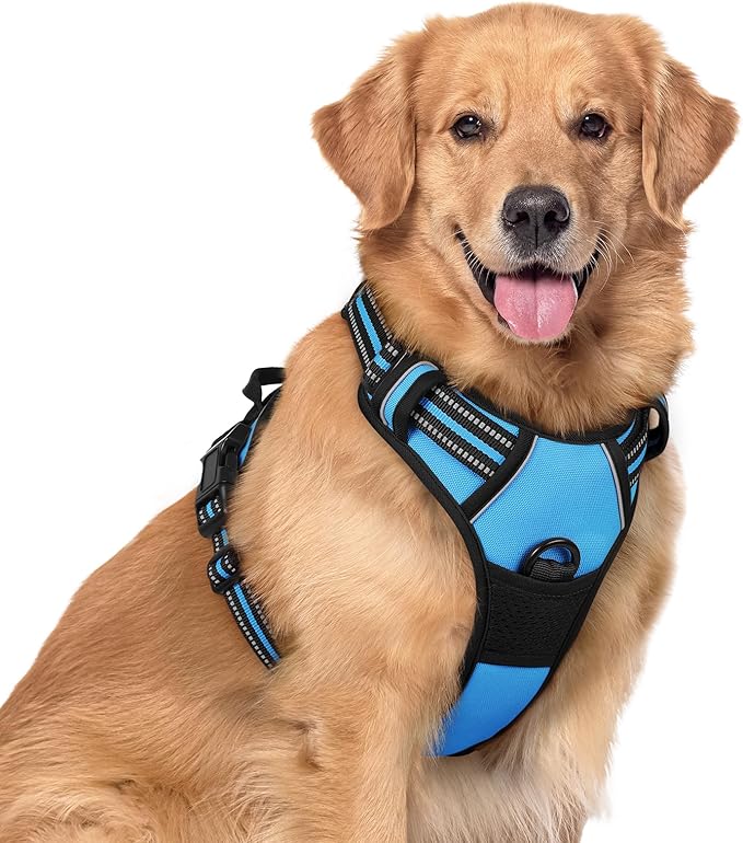 rabbitgoo Dog Harness No Pull by rabbitgoo