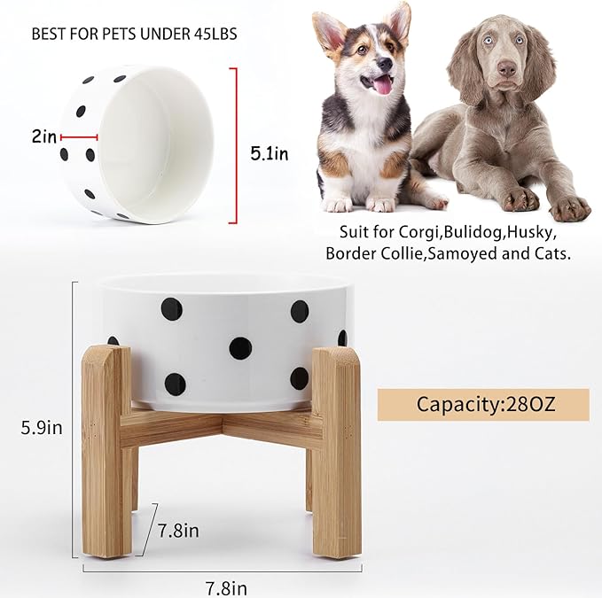 Petygooing 28 OZ Elevated/Raised Ceramic Dog Bowl - Image 3