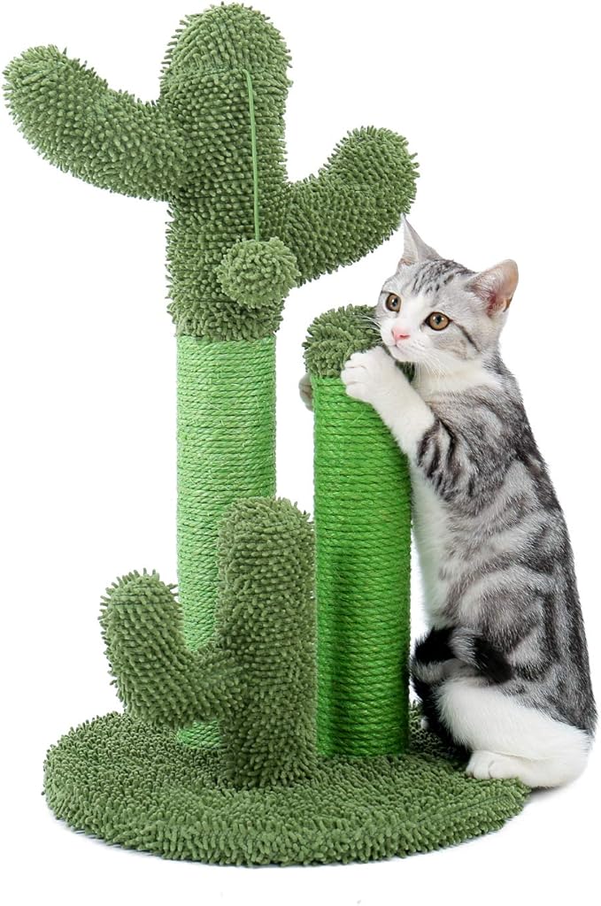 PAWZ Road Cat Scratching Post Cactus Cat Scratcher Featuring by PAWZRoad