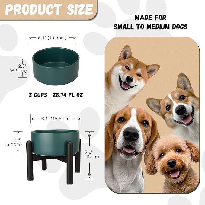 Raised Ceramic Dog Bowl, 6.1'' Modern Feeding Bowl - Image 2