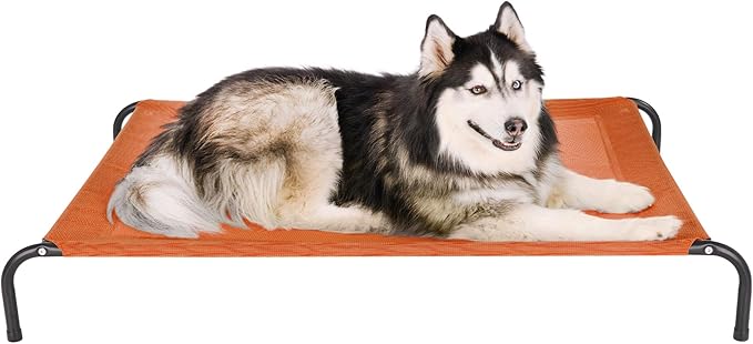 FurHaven Elevated Pet Cots by FurHaven
