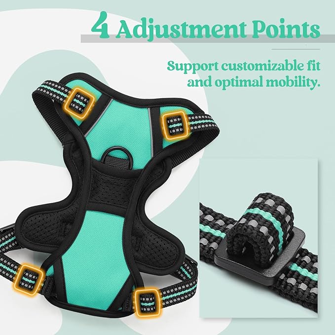 rabbitgoo Dog Harness No Pull - Image 4