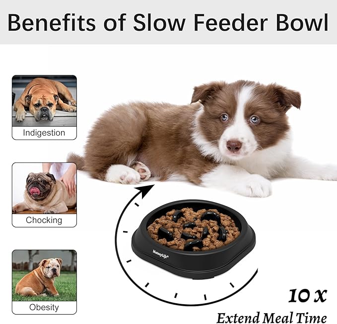 MateeyLife Small Slow Feeder Cat Bowls, Anti-Choking Puzzle Cat Food Bowls - Image 2