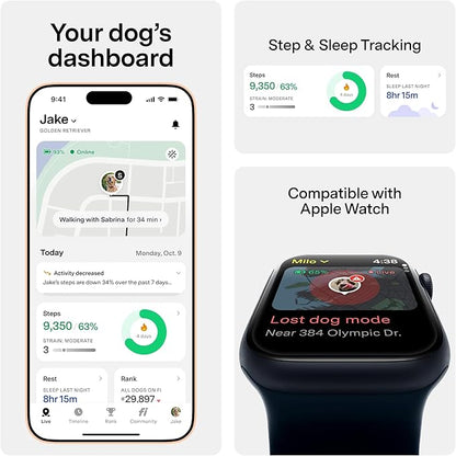 Fi New Series 3+ Smart Dog Tracker Collar GPS Tracker - Image 3