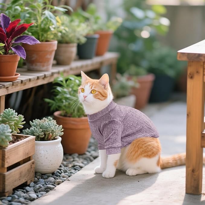 Idepet Sphynx Hairless Cats Sweater Shirt Kitten Soft Puppy Clothes Pullover - Image 6