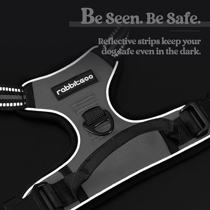 rabbitgoo Dog Harness No Pull - Image 7