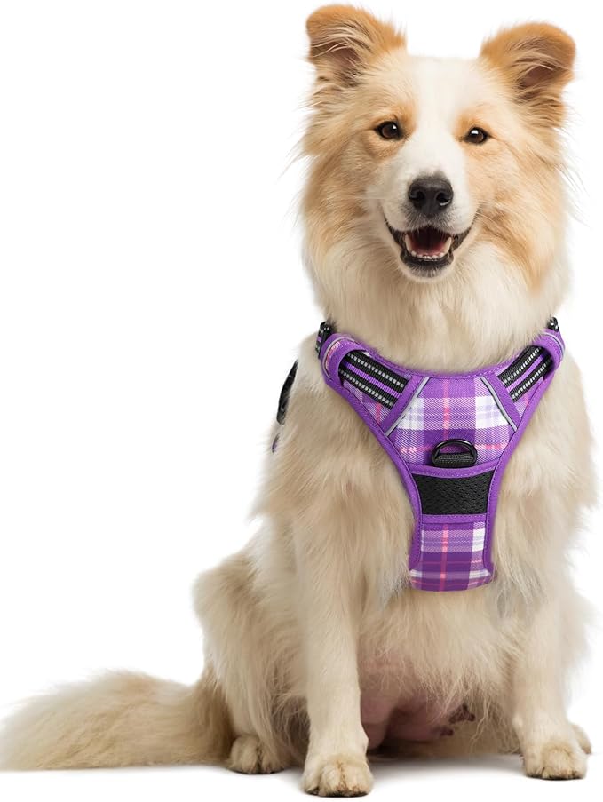 rabbitgoo Dog Harness No Pull by rabbitgoo