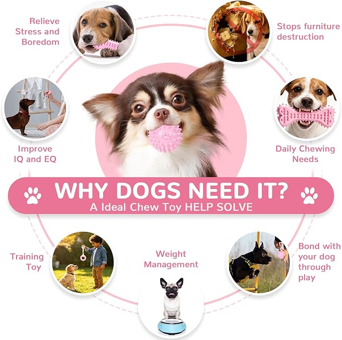 Puppy Chew Toys 6 Pack for Small Dogs, Teething Toys for Puppy Easy Clean - Image 3