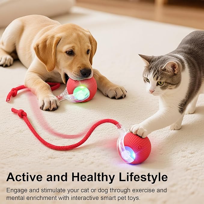 Smart Interactive Automatic Electric Rolling Moving Rechargeable Motion - Image 2