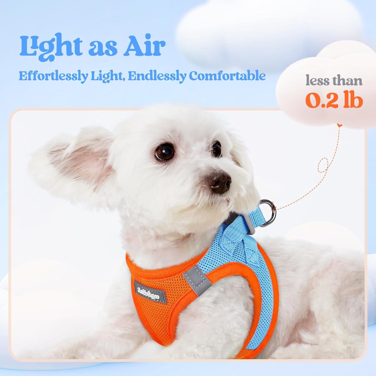 rabbitgoo Dog Harness Small Sized and Leash Set, Step in Soft Light Puppy Vest, Breathable Mesh Pet Harness, Reflective for Safe Easy Walking, Blue & Orange M