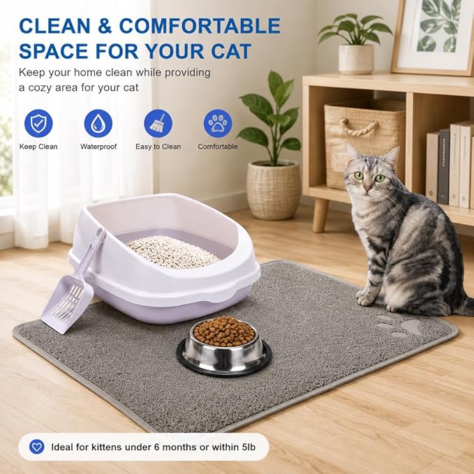 All in One Kitten Starter Kit, Cat Litter Box Set - Image 2