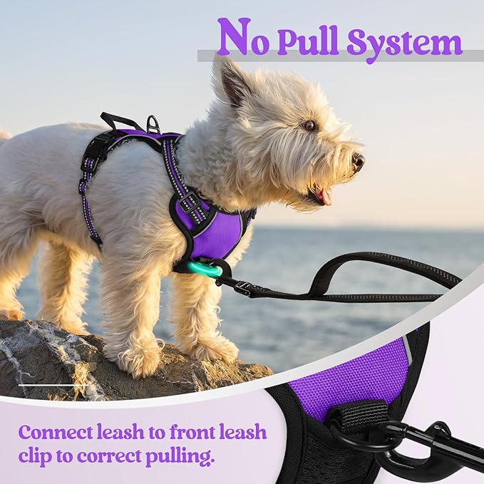 rabbitgoo Dog Harness No Pull - Image 5