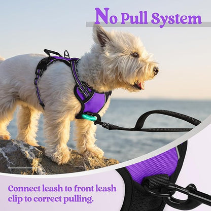 rabbitgoo Dog Harness No Pull - Image 5