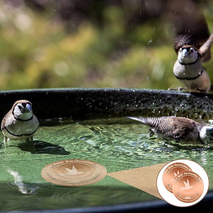 4 Inches Pure Copper Bird Bath Purification Disk, 0.6mm thick, Reinforced - Image 7