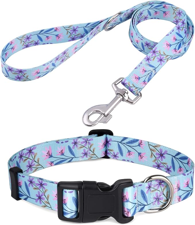 Mihqy Dog Collar and Leash Set by Mihqy