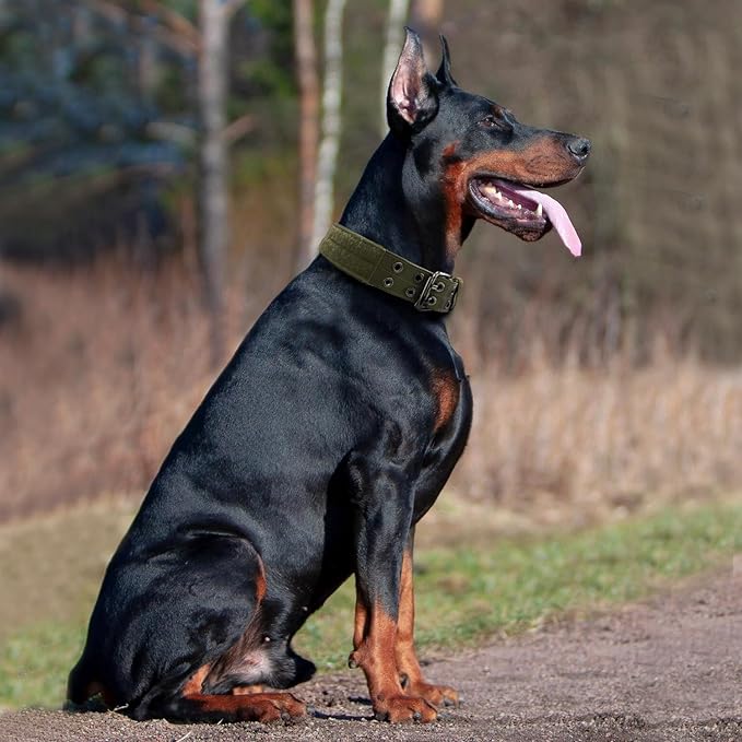Heavy Duty Dog Collar for Large Dogs, Tactical Dog Collars - Image 6