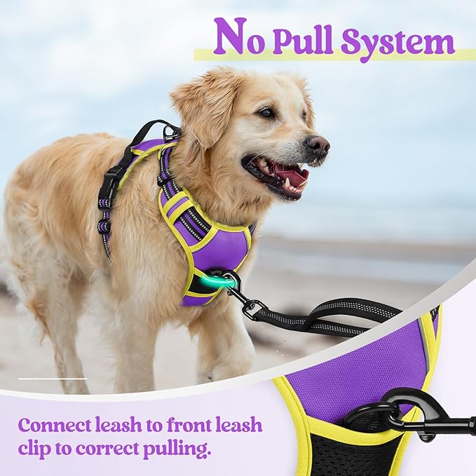 rabbitgoo Dog Harness No Pull - Image 5