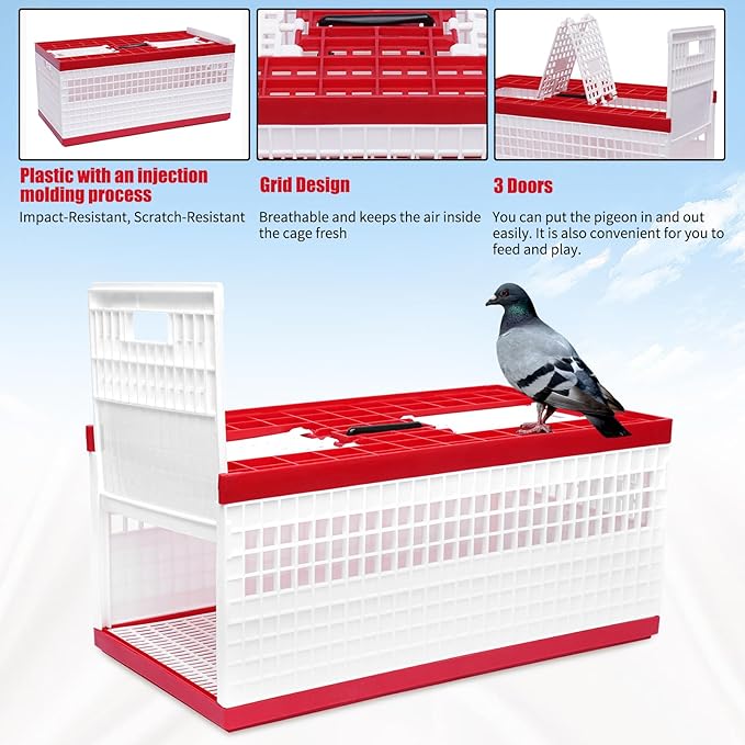 Racing Pigeon Carrier Box - Image 4
