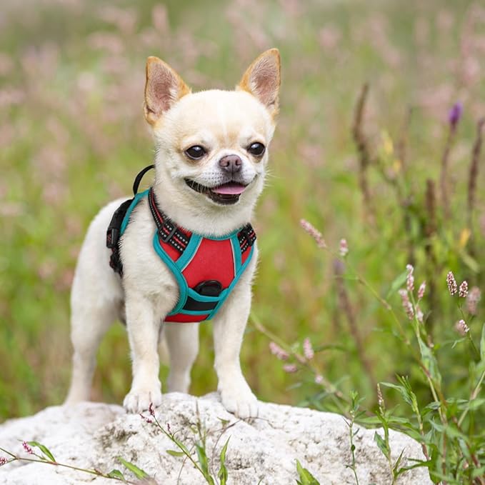 rabbitgoo Dog Harness No Pull - Image 7