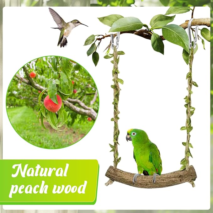 Natural Wood Bird Swing Perch - Image 4