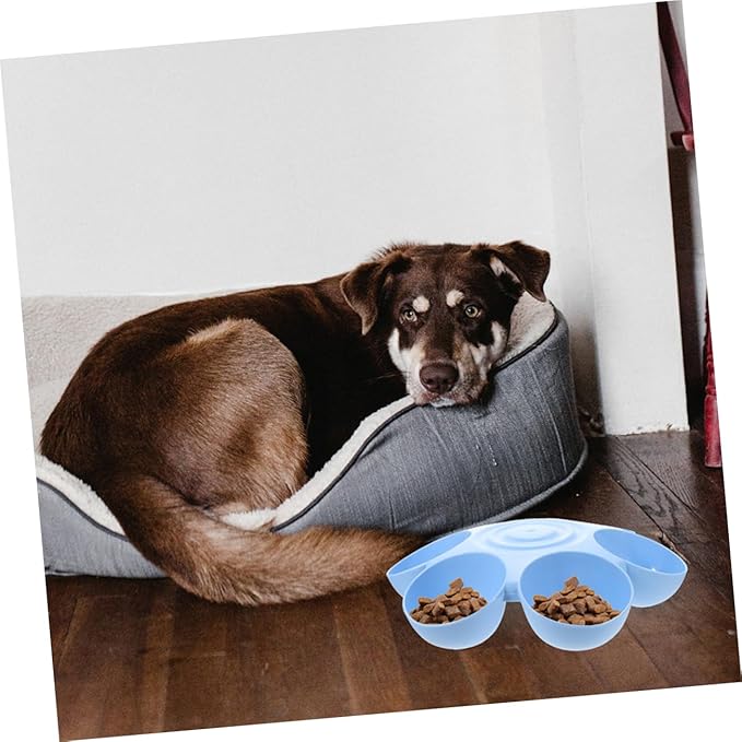 Mikikit Floral Multi Use Food and Water Bowl - Image 5