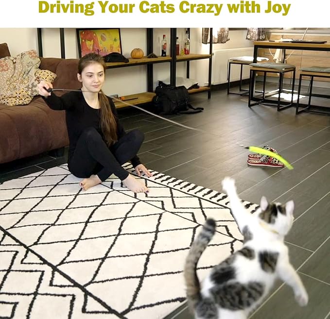 MeoHui Cat Toys for Indoor Cats, Interactive Cat Toy 2PCS Retractable Wand Toy - Image 7