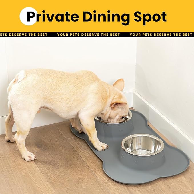 Conlun Medium Pet Feeding Station, 29oz Stainless Steel Dog Bowls Set, No Spill - Image 4