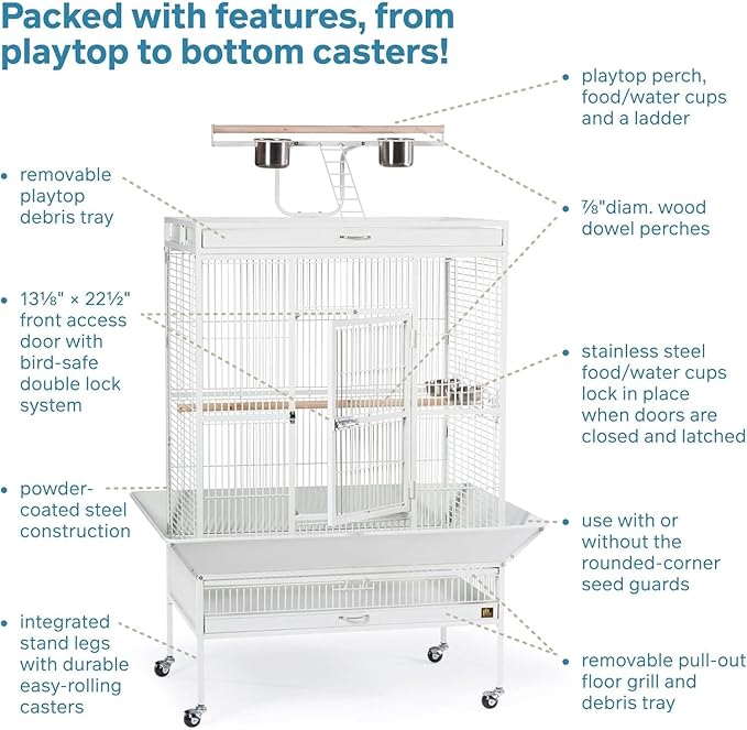 Prevue Pet Products Wrought Iron Select Bird Cage 3154C, Chalk White, 36-Inch - Image 3