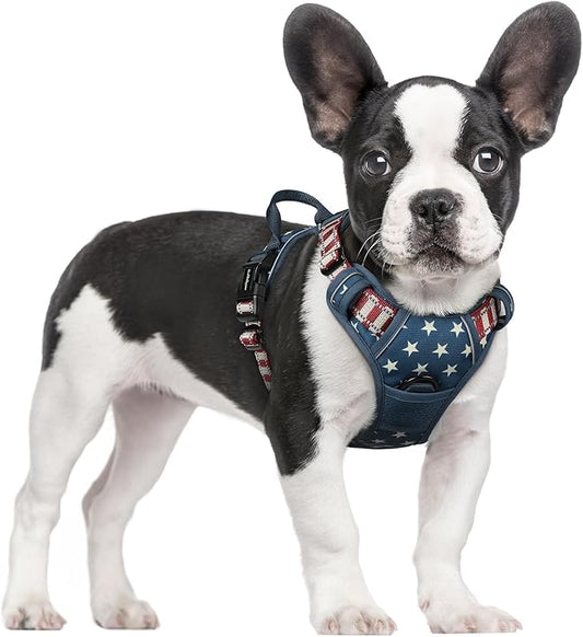 rabbitgoo Dog Harness No Pull by rabbitgoo