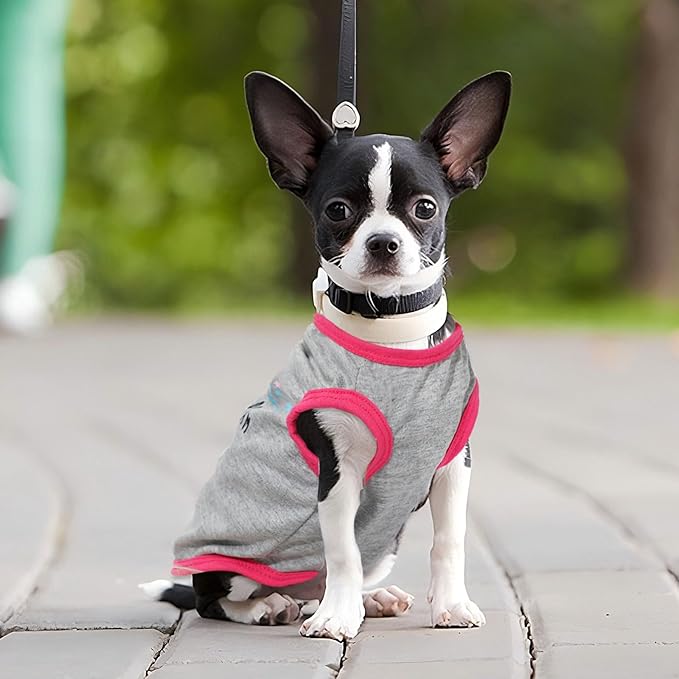4 Pack Dog Shirts for Small Dogs Spring Summer Printed Puppy Clothes Cute Pet T - Image 7