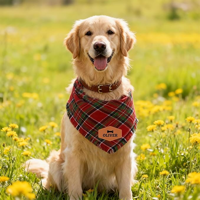 Personalized Dog Bandana with Leather Patch Name, Custom Pet Scarf - Image 2