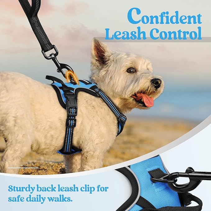 rabbitgoo Dog Harness No Pull - Image 6