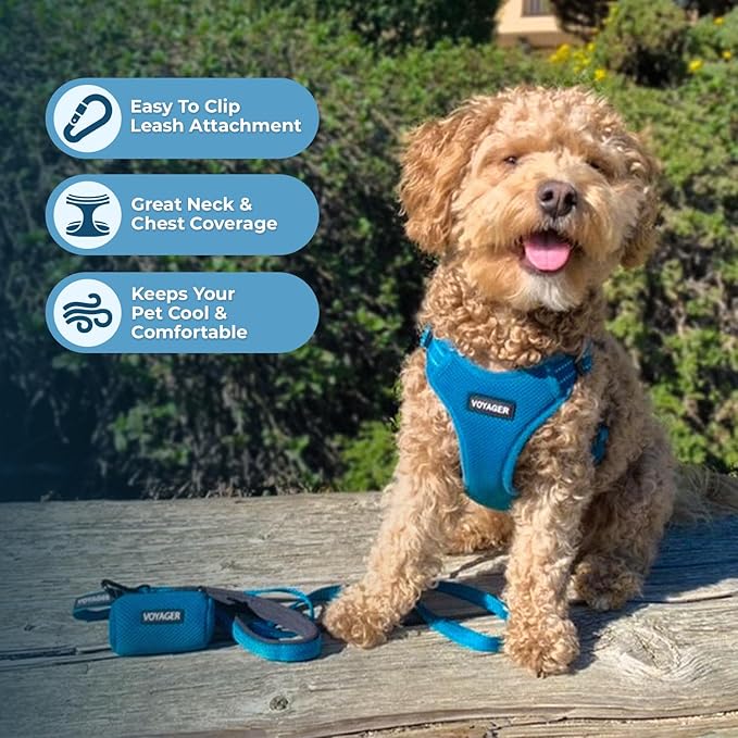 Best Pet Supplies Voyager Adjustable Step-in Flex Breathable Mesh Dog Harness - Image 5