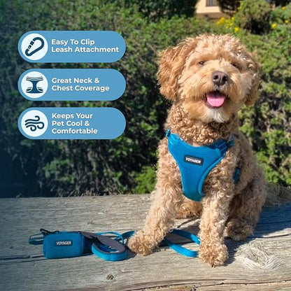 Best Pet Supplies Voyager Adjustable Step-in Flex Breathable Mesh Dog Harness - Image 5