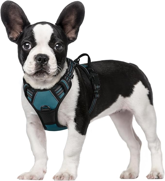 rabbitgoo Dog Harness No Pull by rabbitgoo
