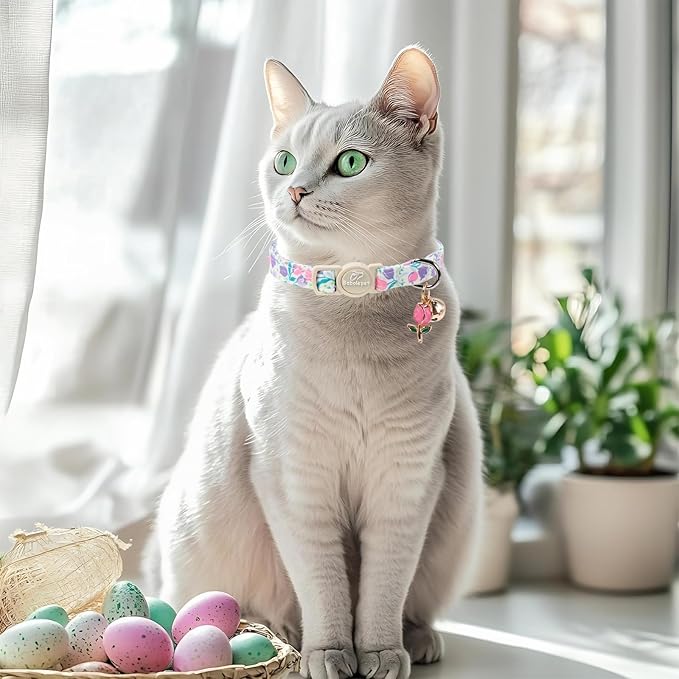 2 Pack Cute Cat Collars - Image 5