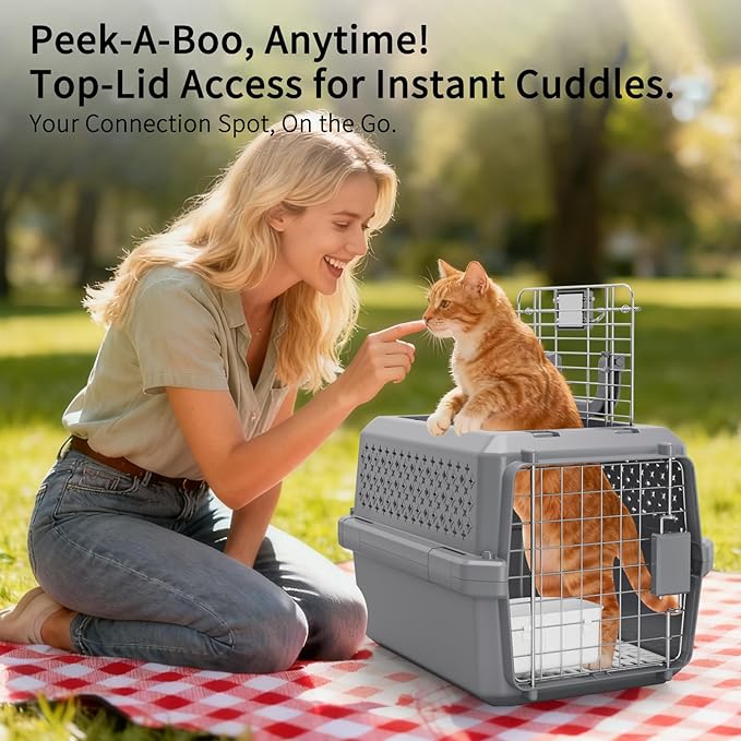 RIZZARI Grey Small Hard Sided Pet Carrier, Portable Ventilated Travel Crate - Image 8
